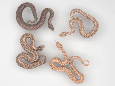 Snakes Set 3D model