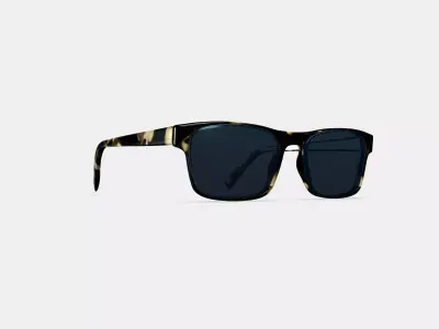 Perkins Sunglasses in Burnt Honeycomb Tortoise 3D model