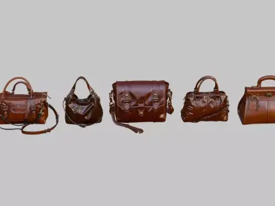 Purse Collection Low-poly 3D model