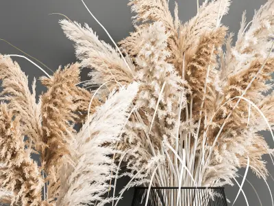 Decorative Bouquet of dried pampas grass 193 3D model