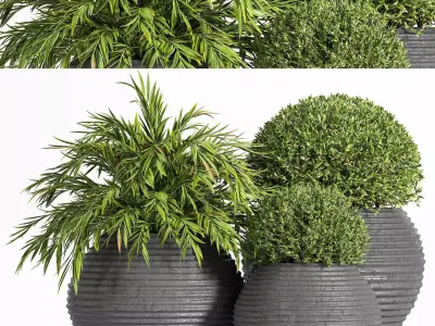 Outdoor Plants tree 07 3D model