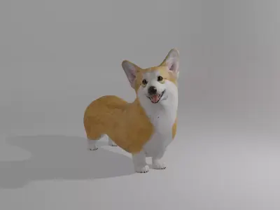 Welshcorgi corgi 3D model