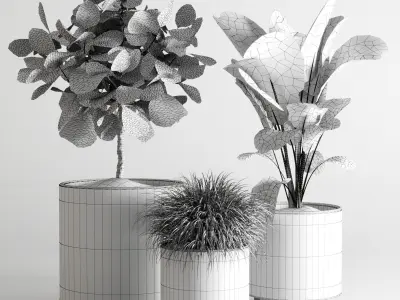 collection Indoor plant 55 vase handmade pottery plant grass pot 3D model