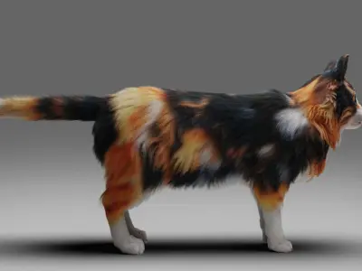 Fur Calico Cat V04 No Rigged Low-poly 3D model