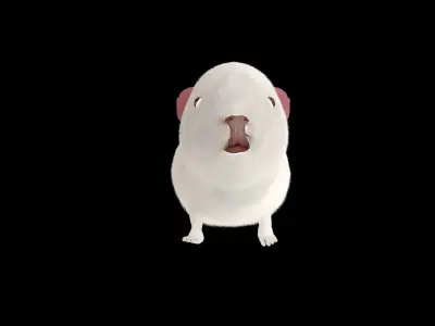 guinea pig 3D model