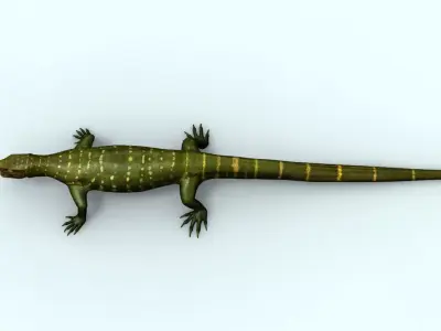 green lizard 3D model