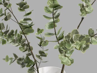 Faux Eucalyptus Branch 3D model