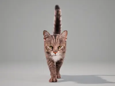 Cat Grey Tabby Animated UNREAL project  Maya base rig 3D model