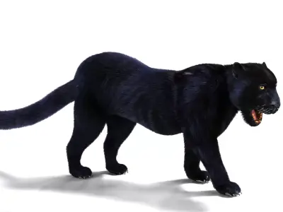 Realistic Fur Black panther Rigged Low-poly 3D model