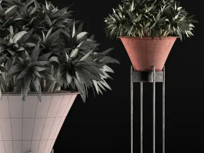 Plants Collection 49 3D model
