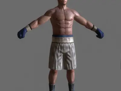 Boxer v2 Low-poly 3D model