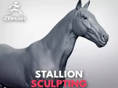 Stallion - Sculpt 3D model