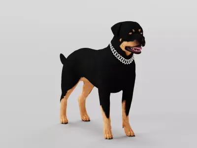 Rottweiler Dog Low-poly 3D model