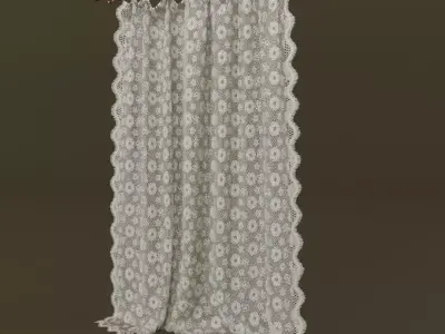 Lace Curtain 3D model