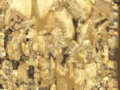 Badger Skull with open jaw 3D model