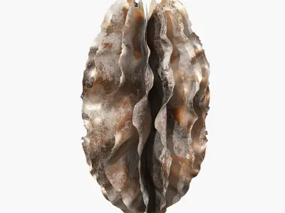 Sculptures of coral reef 01 3D model