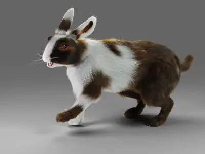 Fur Rabbit Gray V04 Rigged Low-poly 3D model