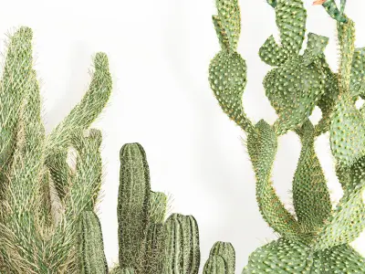 cactus vase Low-poly 3D model