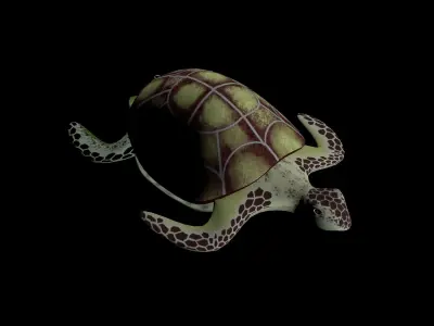 Rigged low-poly turtle  Low-poly 3D model