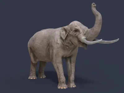 Sinomastodon hanjiangensis 3D model
