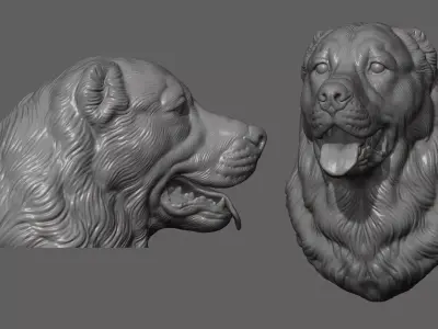 Central Asian Shepherd Dog Alabai bust 3D print model