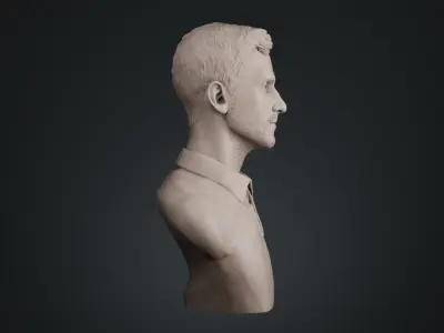 Novak Djokovic 3D print model