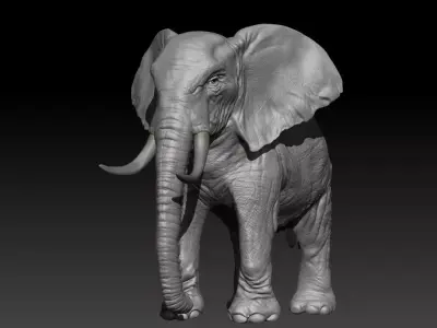 Realistic Elephant Hi-Rez with realistic skin 3D model 3D model
