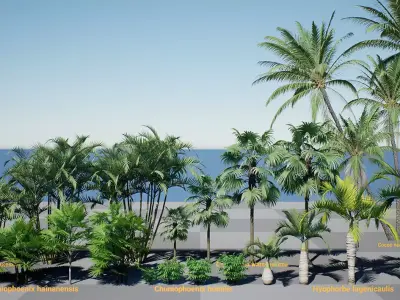 HQ Plants Volume 2 Palms for unreal engine 3D model set of 24 3D model