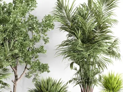 indoor plant set 442 plant tree palm grass bush Low-poly 3D model