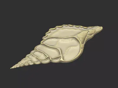 Shell cross section cnc aspire artcam V relief print engrave 3D print model