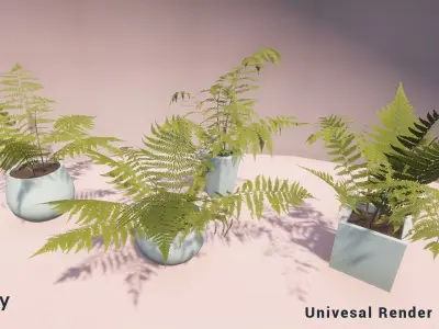 Indoor Plants Unity Asset Low-poly 3D model