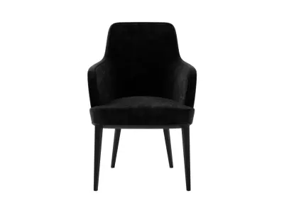 Anneliese Armchair 3D model