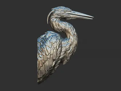 Grey Heron bust  3D print model