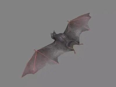 Cartoon Bat Low-poly 3D model purchase