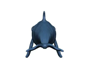 Whale Low-poly 3D model buy