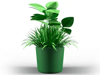 Decorative Pot Clover Low-poly 3D model