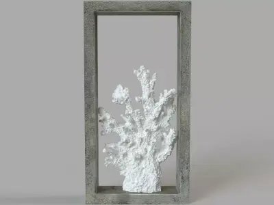 Finger Coral Shadowbox 3D model