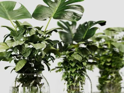 Indoor Plant Set 02 ivy in jar 3D model