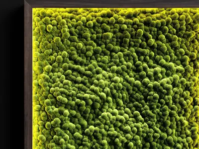 Phytowall with stabilized moss 3D model
