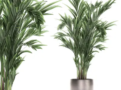 Decorative palm in a flowerpot 693 3D model