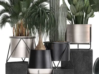 Collection of indoor plants in luxury flower pots 1106 3D model