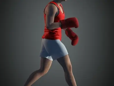 Boxer human model fbx Low-poly 3D model