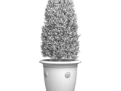 Boxwood in a Classic French Pot Front Entry Tree Patio Porch  3D model