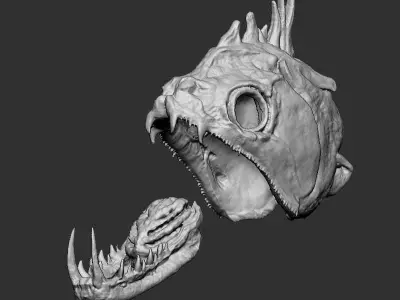 Payara Fish Vampire Fish Skull Head 3D print model