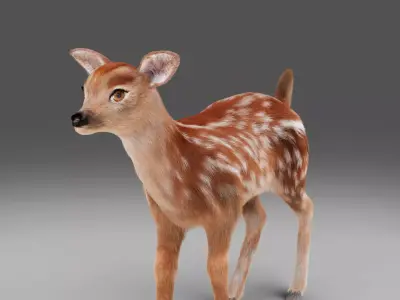 Fur Fawn Deer NO Rigged Blender Low-poly 3D model