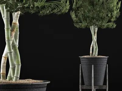 Plants Collection 54 3D model