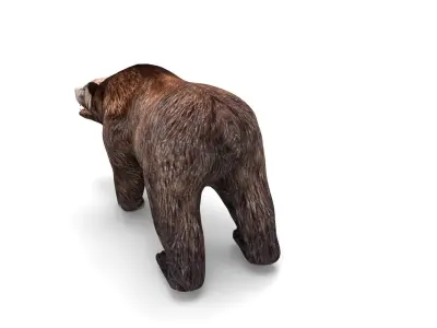 Brown Bear Rigged and animated 3D Model Low-poly 3D model