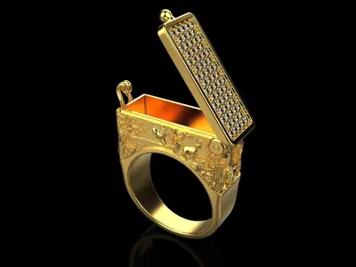 Secret Compartment ring  128  3D print model