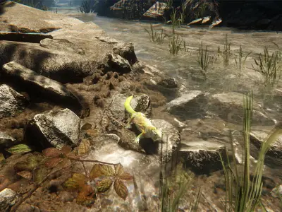Lizard in water 3D model