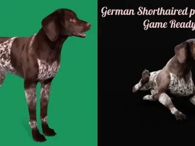 German Shorthaired Pointers Dog 3D model